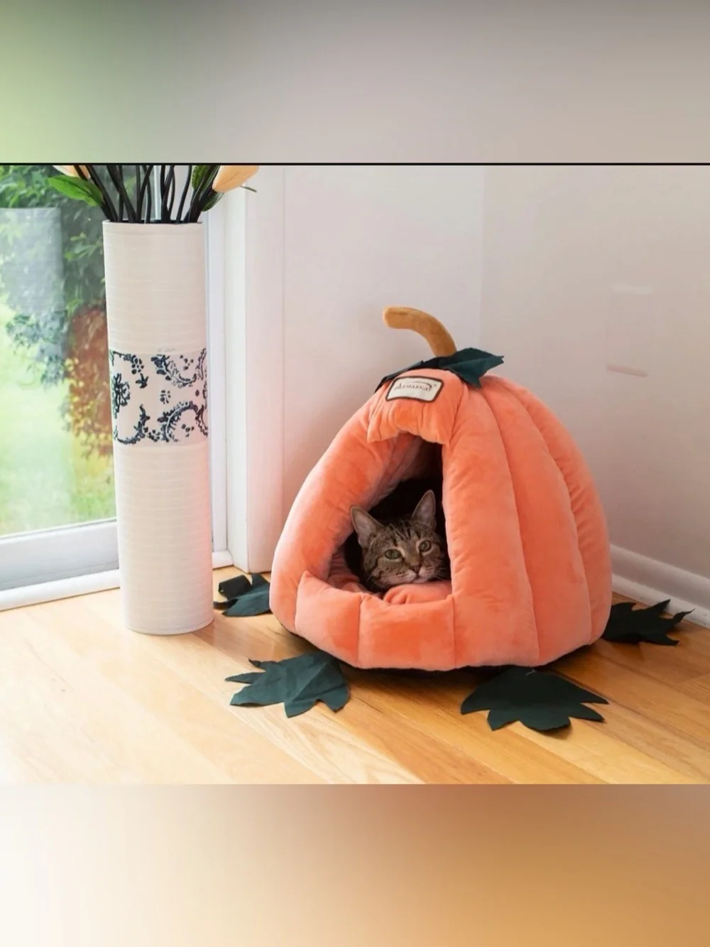 Armakat plush pumpkin
